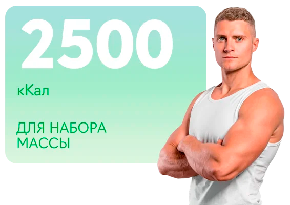 2500 ккал