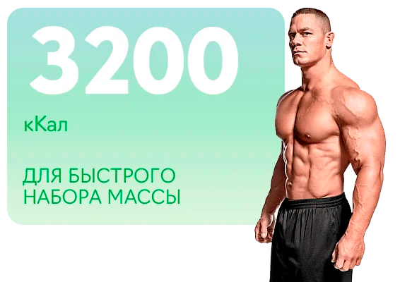 3200 ккал